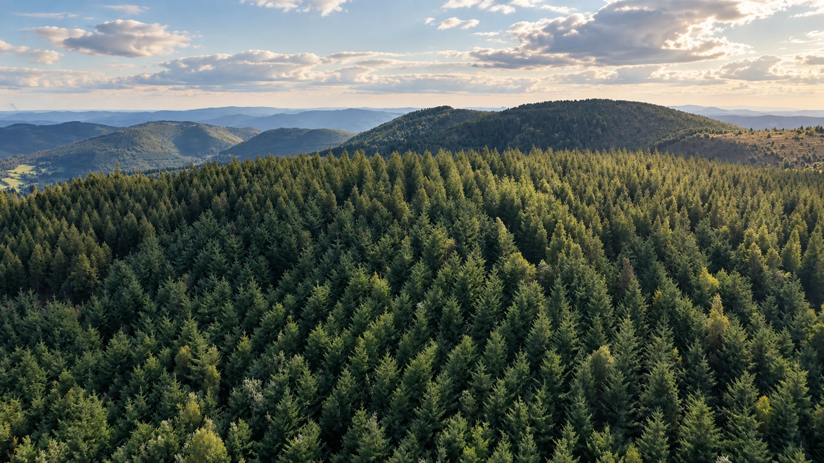 An aerial view across the forested hills of Mont Sardier